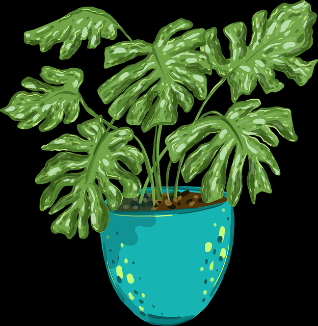 粉丝视角《17吃瓜》谣言工厂全解