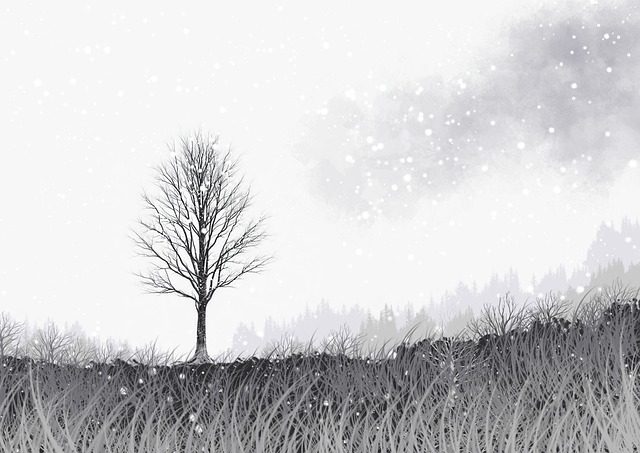 加密钱包！暗网禁地入口情报汇编幕后真相