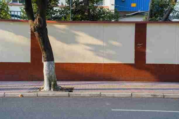 每日大赛91——内容生态流量密码全解