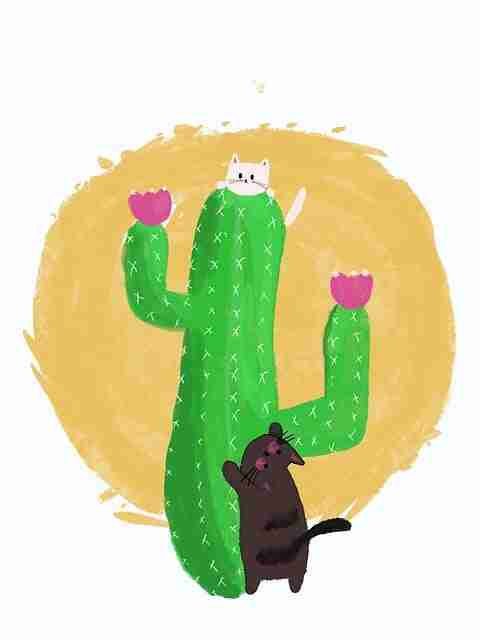 91网流量密码：热点冷却案例复盘