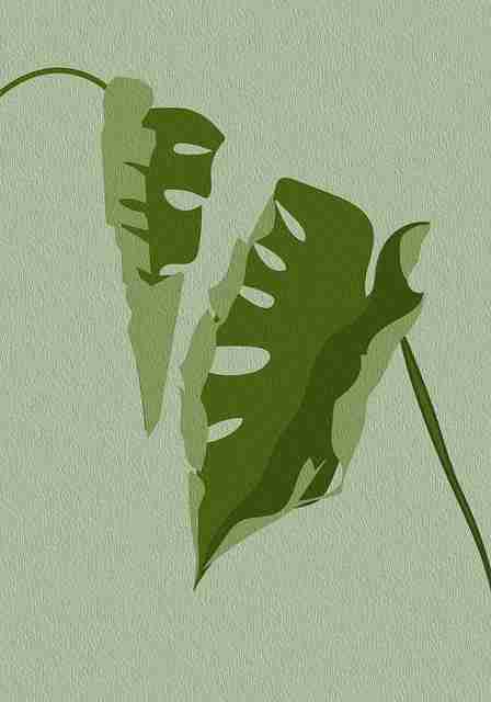 新手指南《91网》SEO 战术警示录