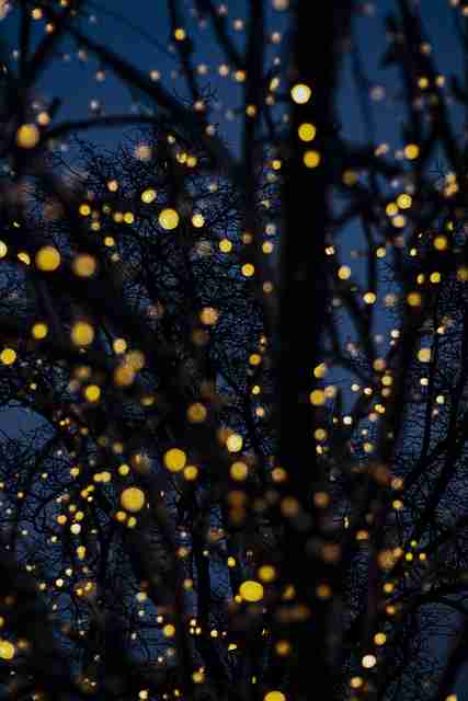 付费模式！海角流量密码红与黑