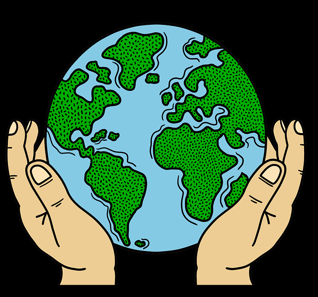 糖心官网vlog商业模式·粉丝互动风险提示